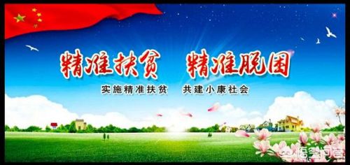 致富新项目(致富新项目农村)-第2张图片-