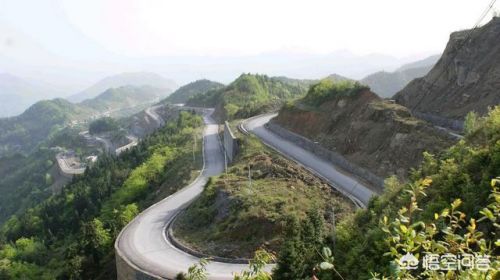 致富新项目(致富新项目农村)-第1张图片-