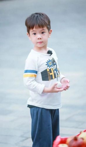 快乐大本营爸爸去哪儿第一季专场(快乐大本营爸爸去哪儿第一季哪一期)-第2张图片-