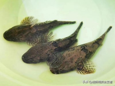 ​沙塘鳢怎么吃(沙塘鳢多少钱一斤)