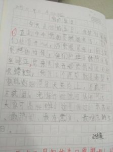 ​关于生日的日志大全(生日日志心情随笔)