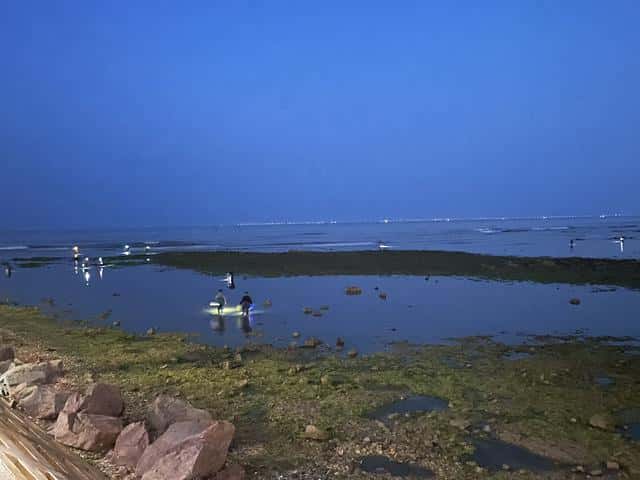 今天的海水涨潮退潮时间(今天海水涨潮退潮时间表)