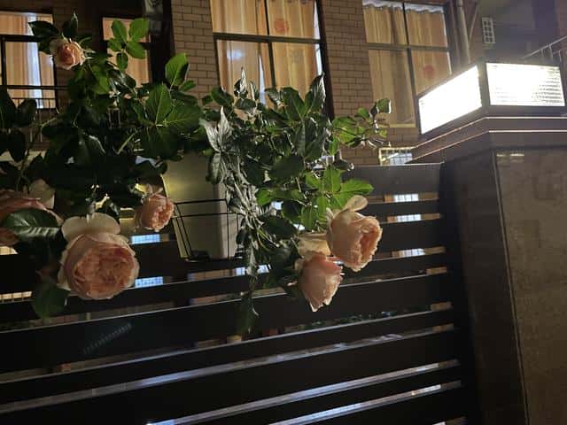 今天的海水涨潮退潮时间(今天海水涨潮退潮时间表)