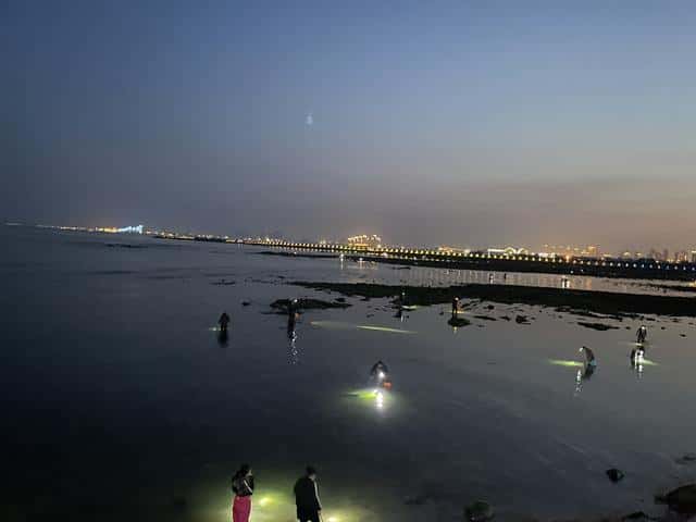 今天的海水涨潮退潮时间(今天海水涨潮退潮时间表)