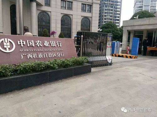 中国农业银行广西分行行长,中国农业银行广西分行待遇-第1张图片-