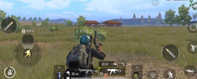 ​不求人为什么退出dkg