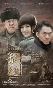 ​《孤雁》电视剧全集1-45集大结局分集剧情介绍演员表