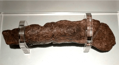 ​世界上最大的屎有多重