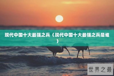 ​现代中国十大最强之兵（现代中国十大最强之兵是谁）