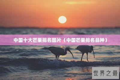 ​中国十大芒果排名图片（中国芒果排名品种）