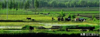 ​合作社怎么干赚钱？这样干，政府支持、农民拥护、你赚钱