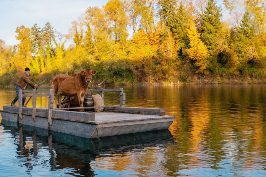 020年电影大片有哪些(回顾影评家最青睐的十大电影(2020年),第六个华人金狮奖)"