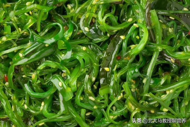 海洋蔬菜包括哪些菜（海洋中的这种蔬菜）(3)