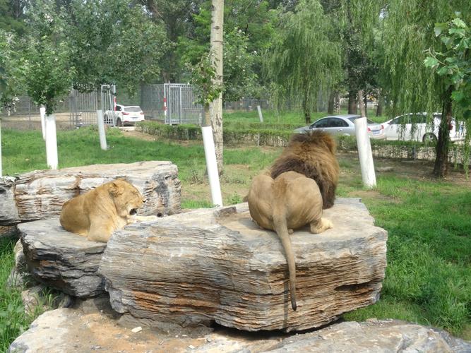 5.秦皇岛野生动物园