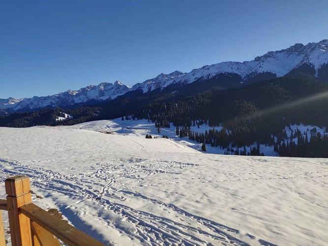 1、奇台北沟国家森林公园