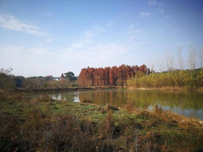 4、阜康金湖湿地公园