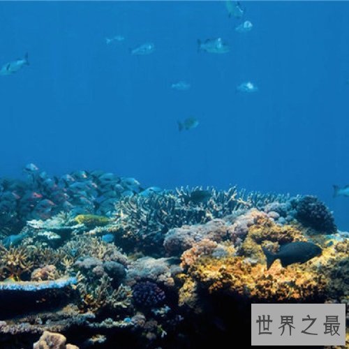 世界十大最具魅力岛屿排行榜，人间仙境般的别样魅力