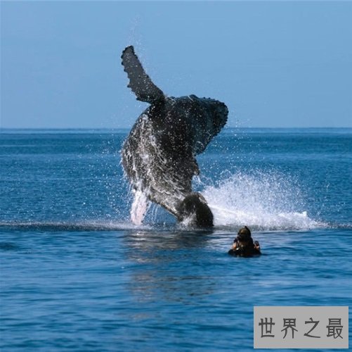 世界十大最具魅力岛屿排行榜，人间仙境般的别样魅力