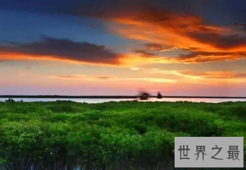 中国最美十大湿地，湿地竟然危机重重？