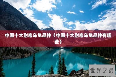 ​中国十大耐寒乌龟品种（中国十大耐寒乌龟品种有哪些）