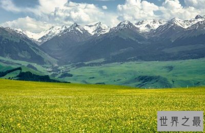 ​中国面积最大十大省份，西藏仅排第二，第三呈狭长型