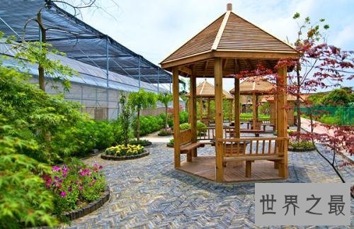 世界十大最美丽的婚礼场地,都是女孩梦想的结婚场地。