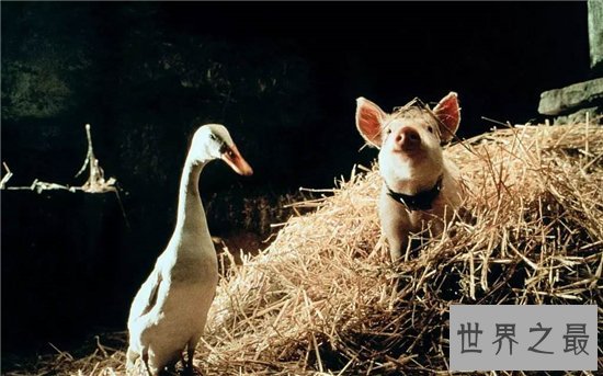 最能缓解压力的十部电影,真爱至上竟仅排第二位!