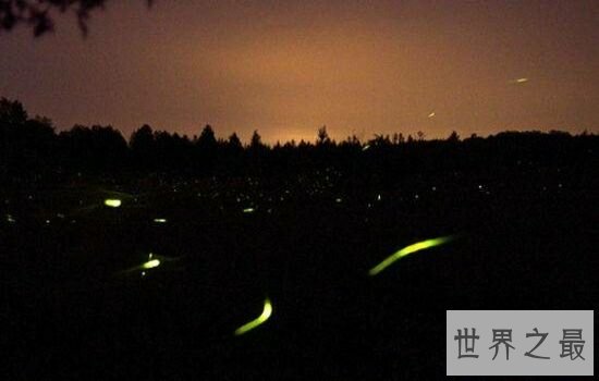 世界十大最美夜景赏玩地,让你爱上不同的夜晚。