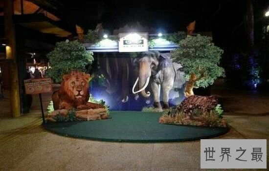 世界十大最美夜景赏玩地,让你爱上不同的夜晚。