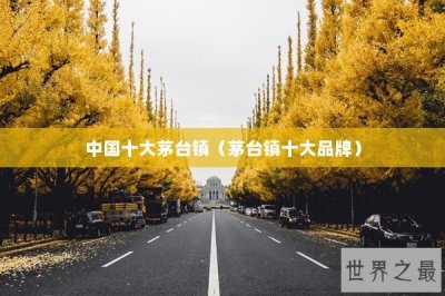 ​中国十大茅台镇（茅台镇十大品牌）