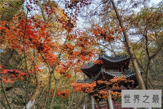 国内十大赏枫胜地，盘点中国枫叶最美的那些地方！