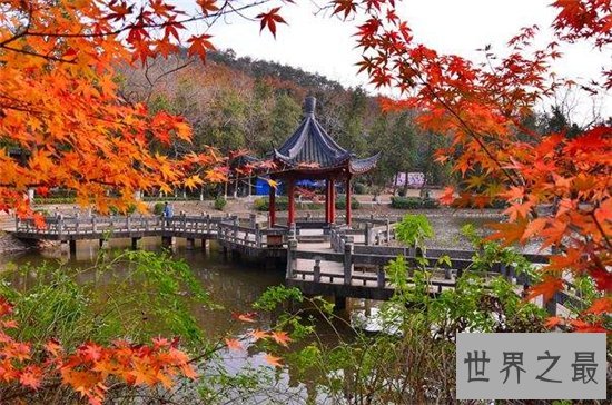 国内十大赏枫胜地，盘点中国枫叶最美的那些地方！