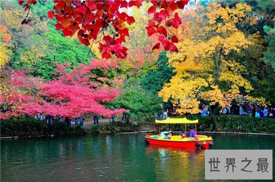 国内十大赏枫胜地，盘点中国枫叶最美的那些地方！