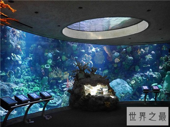 世界十大水族馆排名,盘点世界上那些著名的水族馆