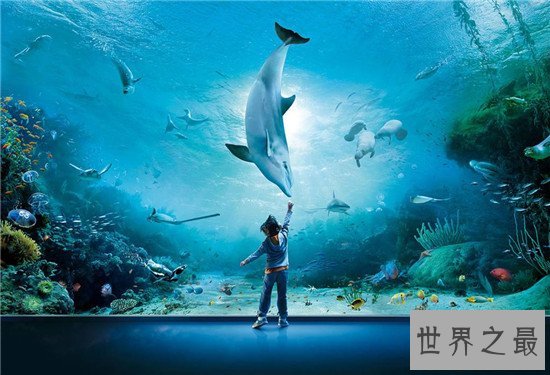 世界十大水族馆排名,盘点世界上那些著名的水族馆