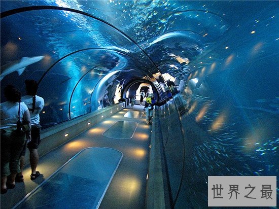 世界十大水族馆排名,盘点世界上那些著名的水族馆