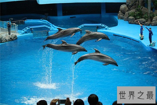 世界十大水族馆排名,盘点世界上那些著名的水族馆