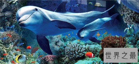 世界十大水族馆排名,盘点世界上那些著名的水族馆