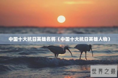 ​中国十大抗日英雄名将（中国十大抗日英雄人物）