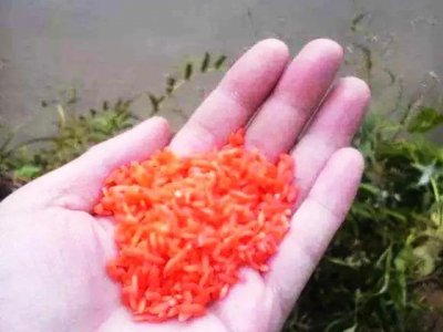 ​钓鲫鱼怎么打窝？10种打窝方式，你用过几种？