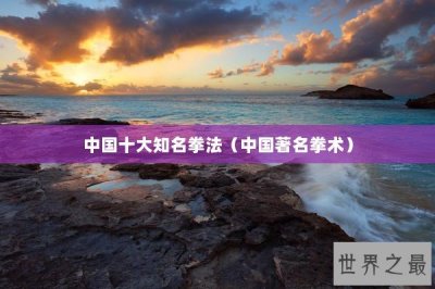 ​中国十大知名拳法（中国著名拳术）