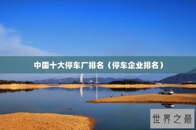 ​中国十大停车厂排名（停车企业排名）