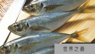 ​最便宜的鱼是什么鱼，六种又便宜又好吃的鱼盘点