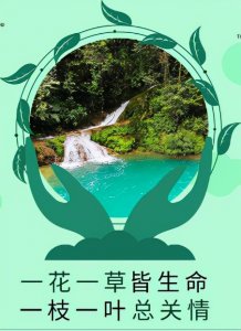 ​关于保护环境的资料有哪些（怎样保护环境?）