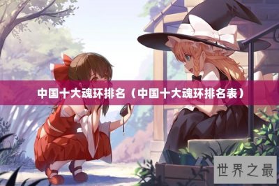 ​中国十大魂环排名（中国十大魂环排名表）