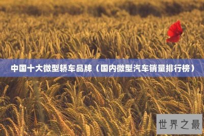 ​中国十大微型轿车品牌（国内微型汽车销量排行榜）