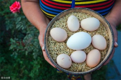 ​鹅蛋营养价值非常的高  但这五种尽量少吃