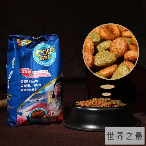 世界猫粮品牌排行,最受欢迎销量最高的是这个!