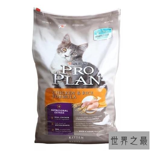 世界猫粮品牌排行,最受欢迎销量最高的是这个!