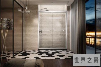 ​淋浴房十大知名品牌，淋浴房哪个牌子好？